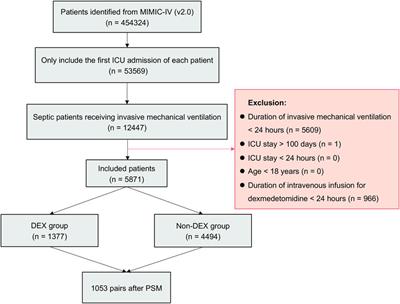 Effect of age and ICU types on mortality in invasive mechanically ventilated patients with sepsis receiving dexmedetomidine: a retrospective cohort study with propensity score matching